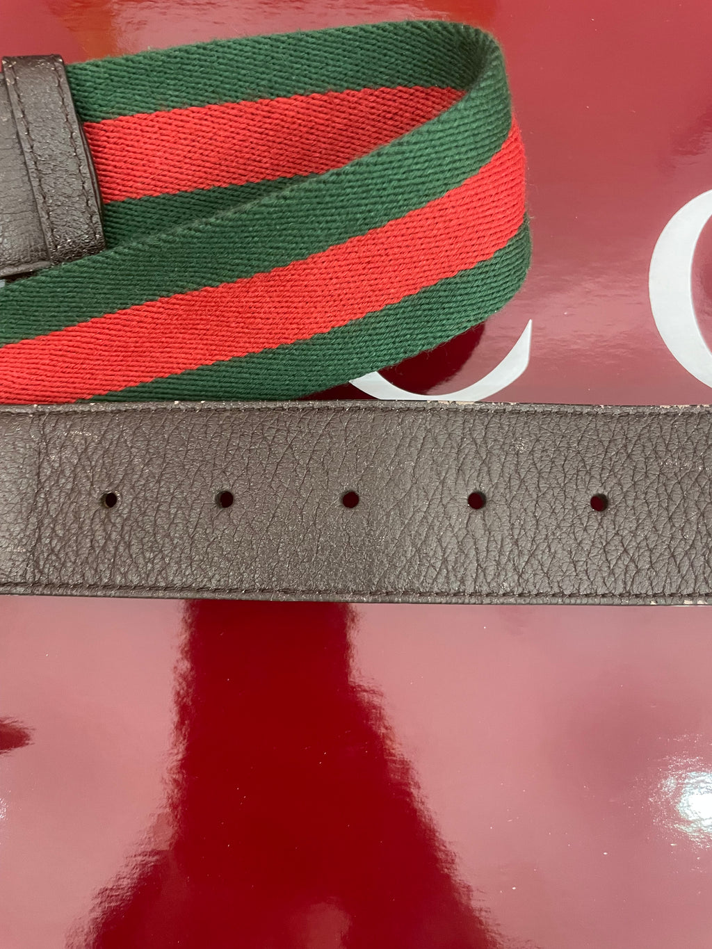 Cintura Gucci marmont