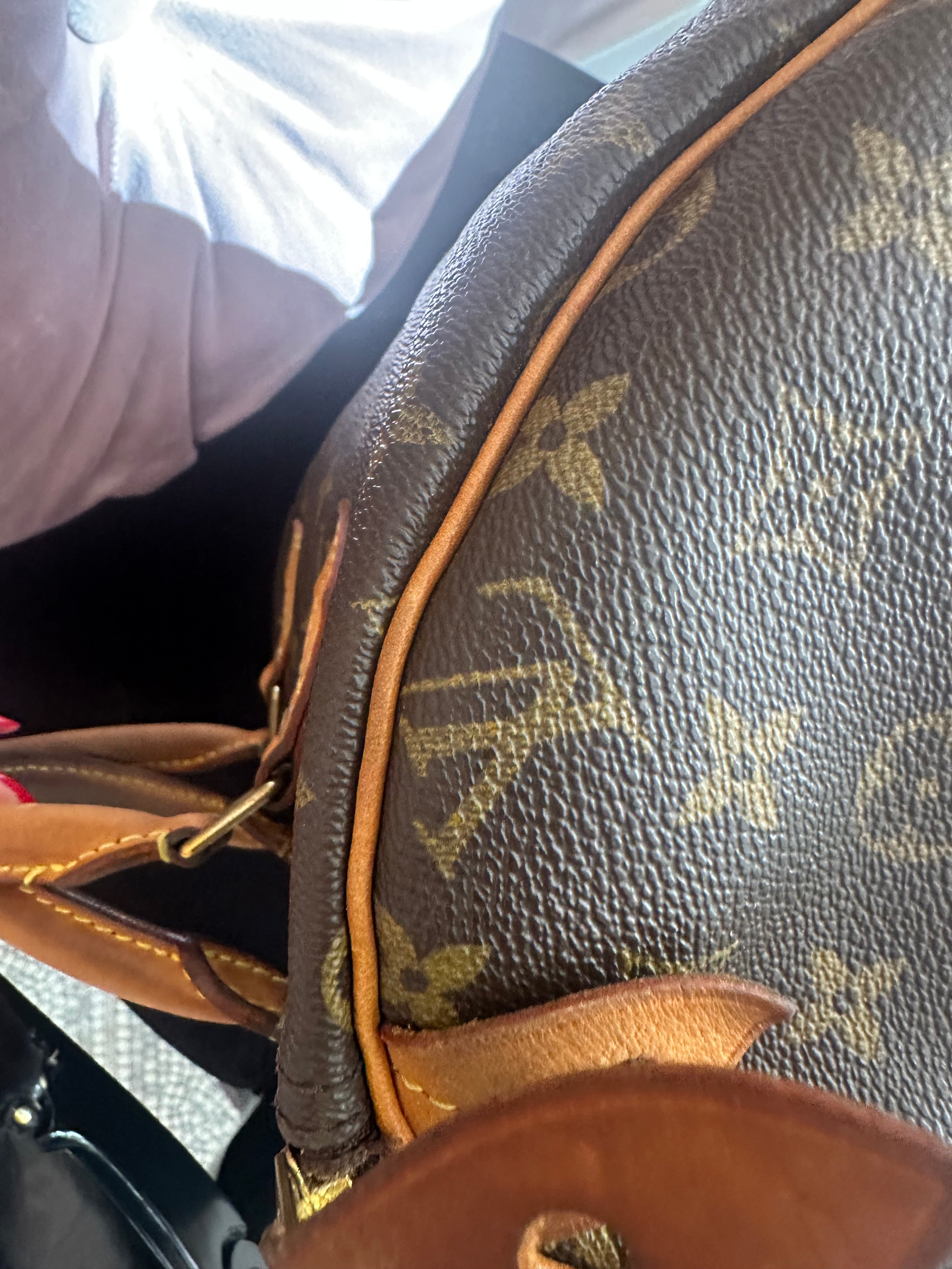 Borsa Louis Vuitton Speedy 30 monogram