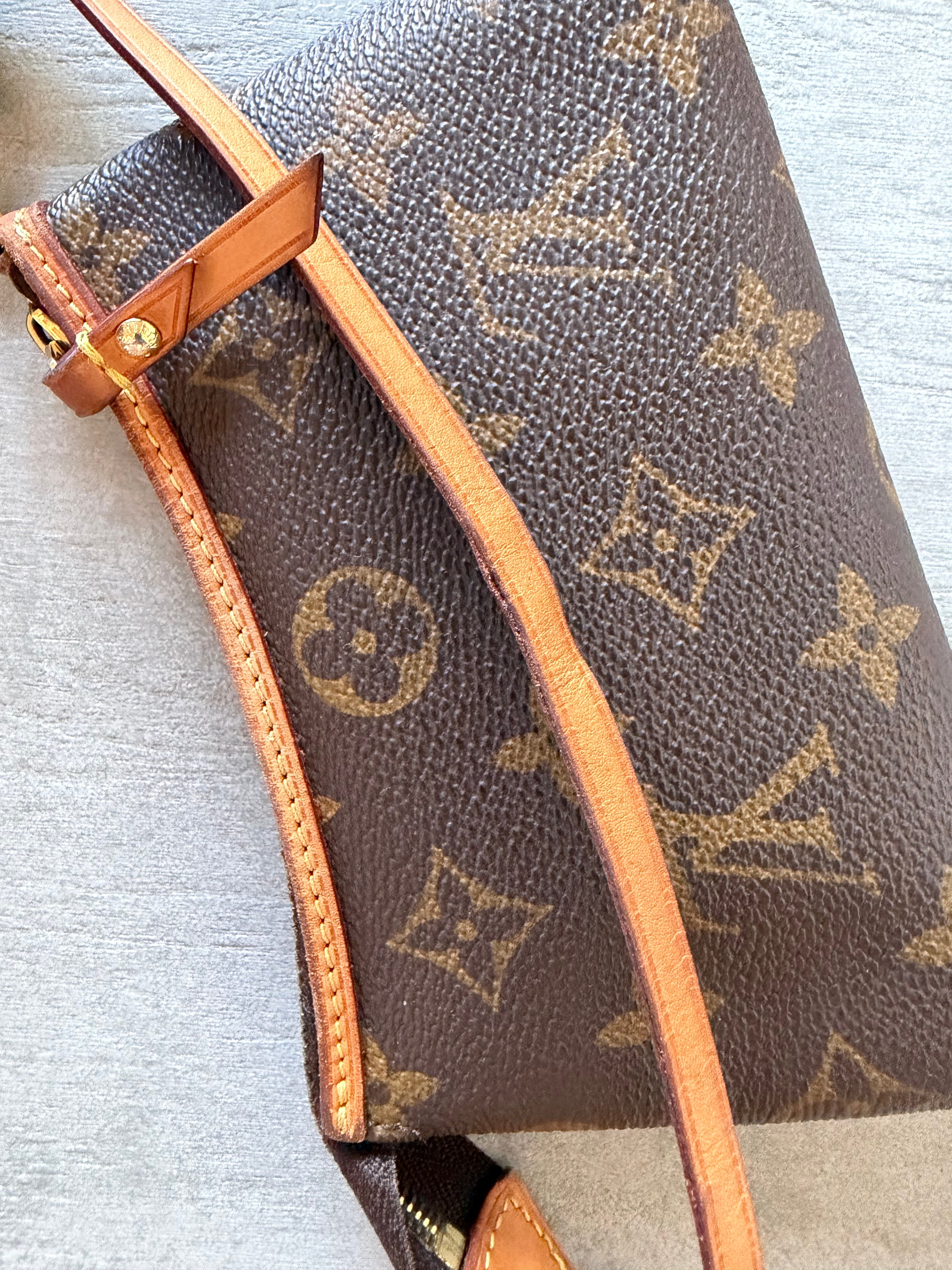 Pochette Louis Vuitton delightful