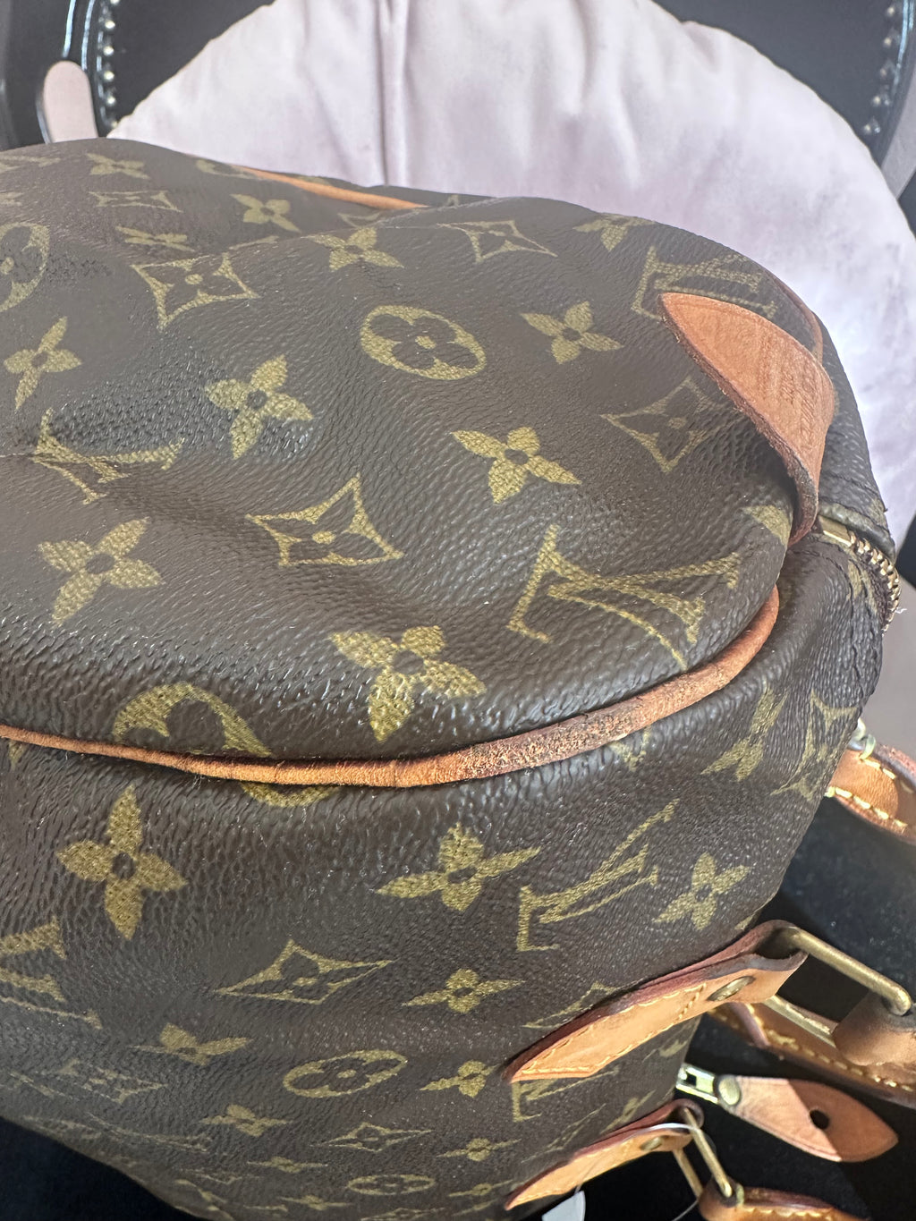 Borsa Louis Vuitton Speedy 30 monogram