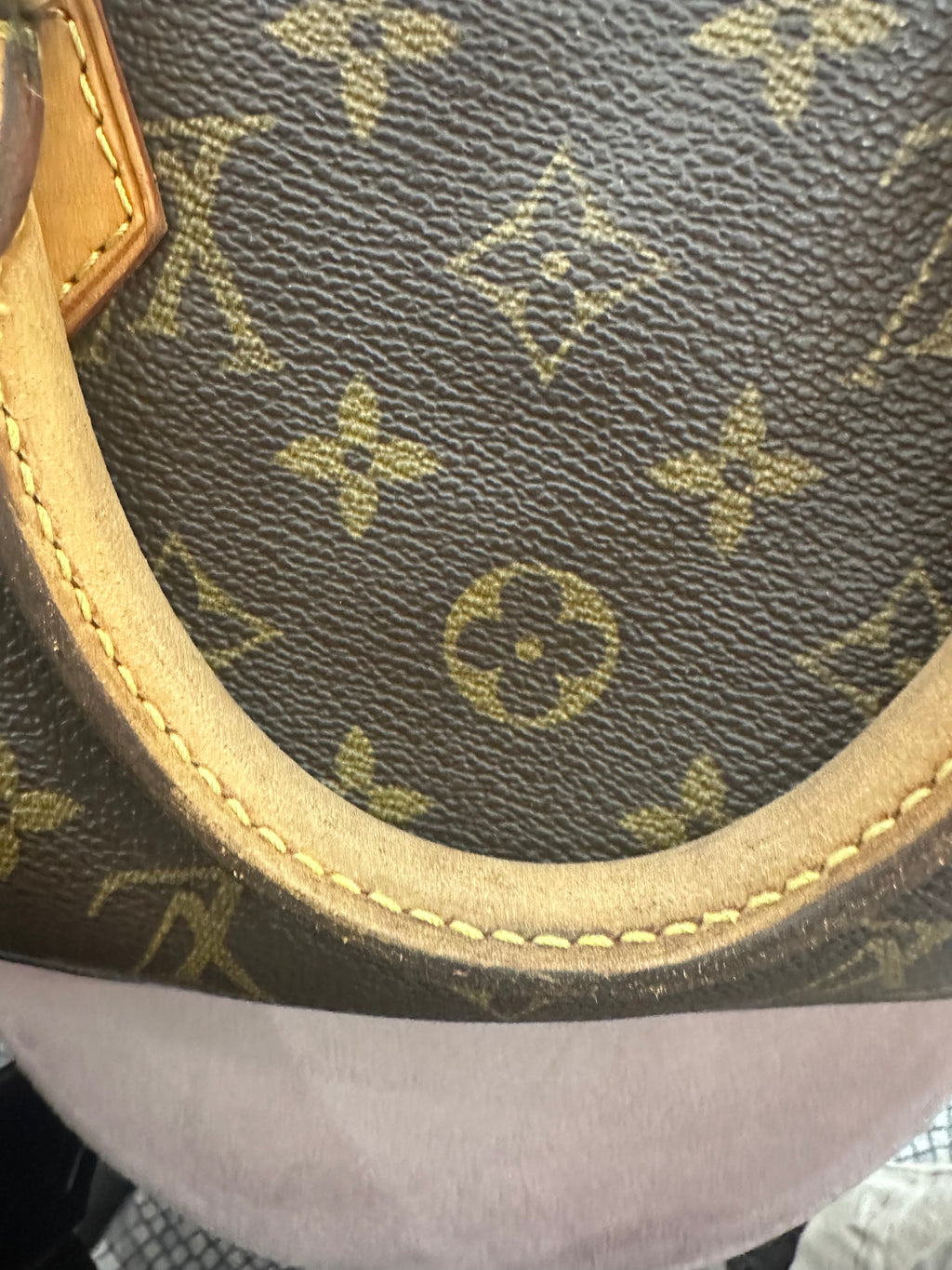 Borsa Louis Vuitton Speedy 30 monogram