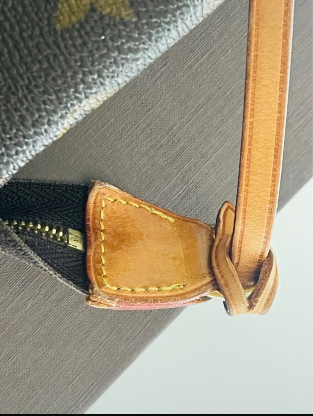 Pochette Louis Vuitton delightful