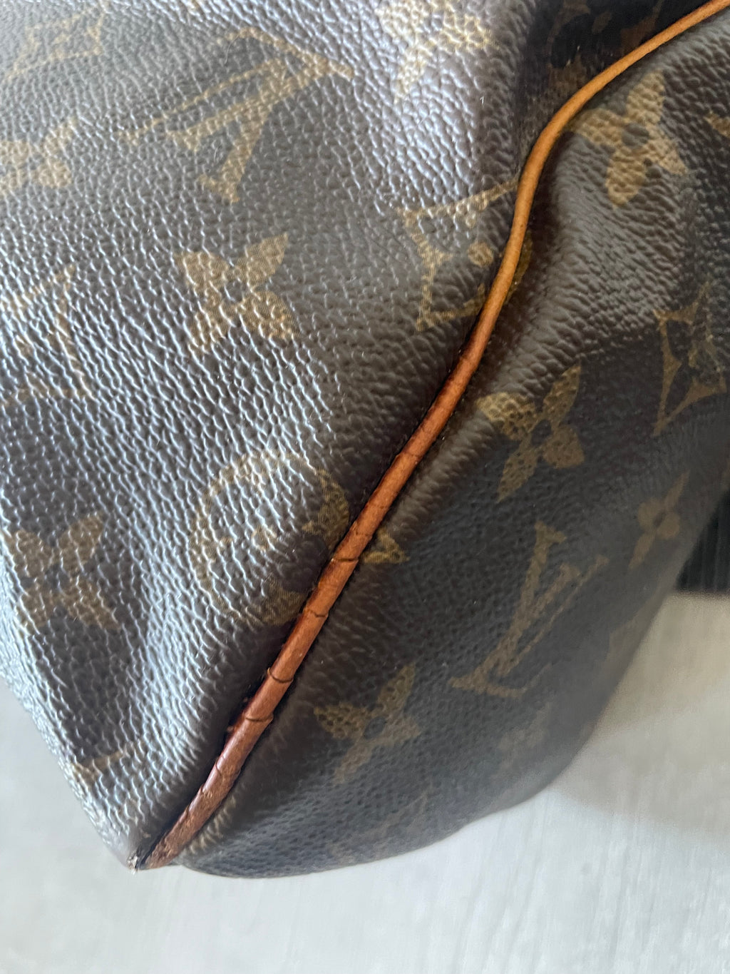 Borsa Louis Vuitton Speedy 25 monogram