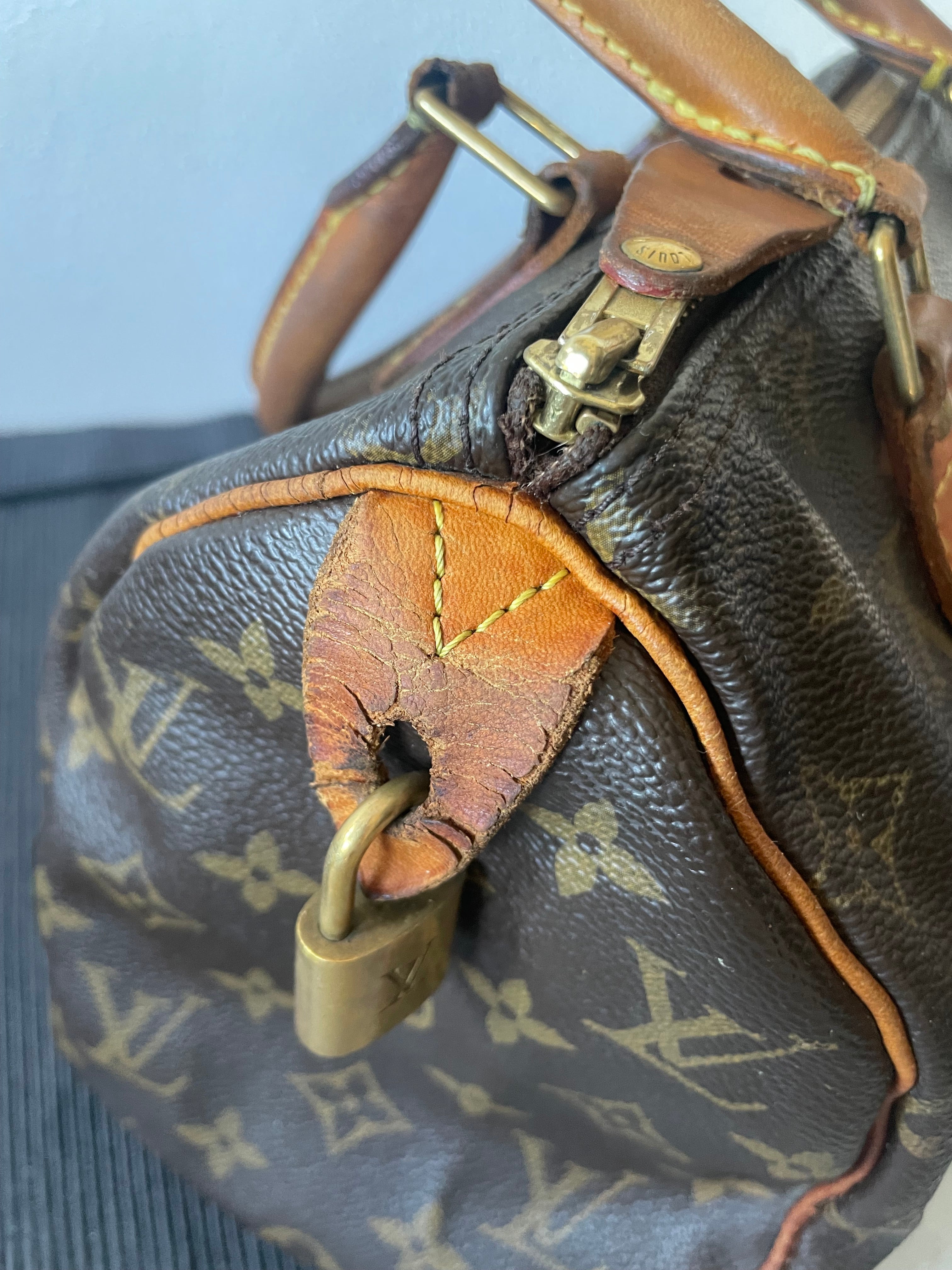 Borsa Louis Vuitton Speedy 25 monogram