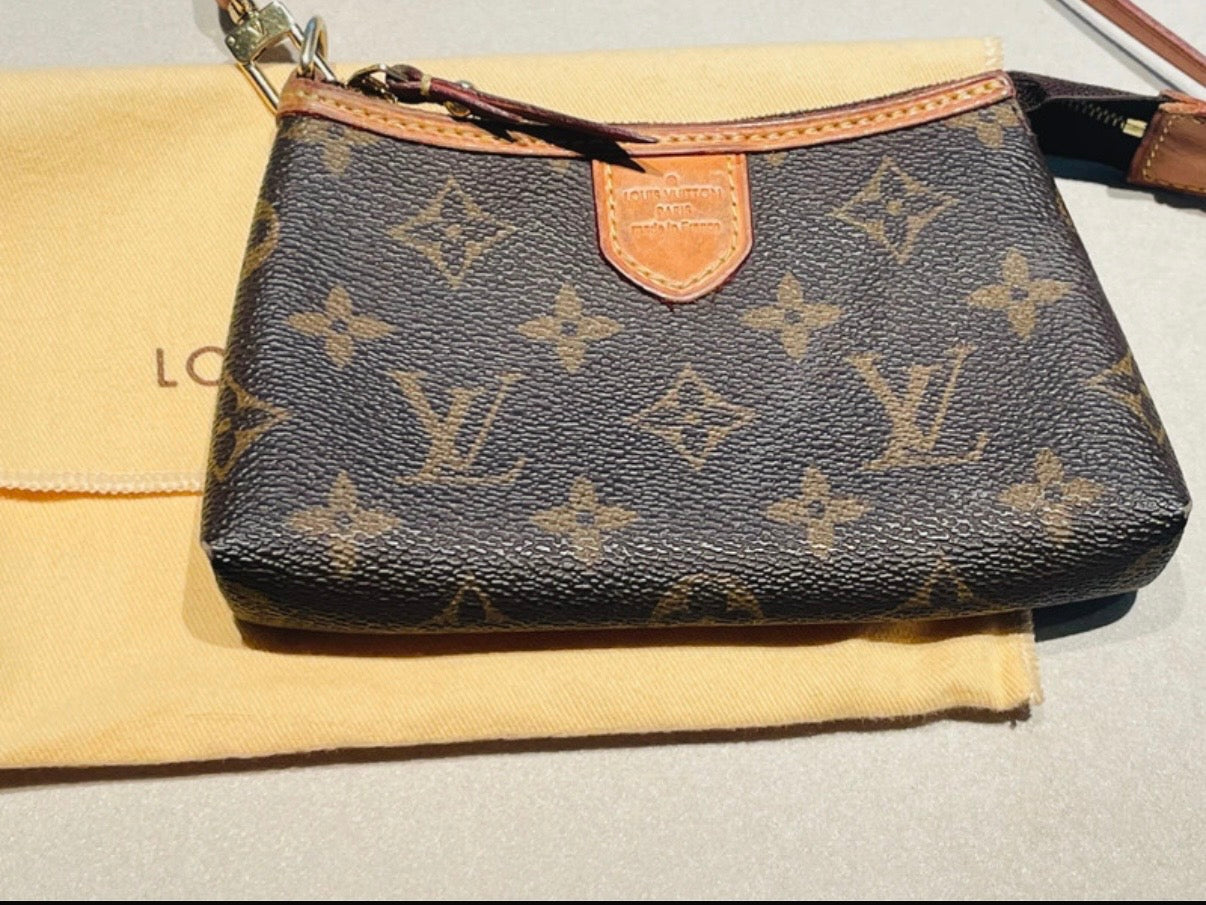 Pochette Louis Vuitton delightful