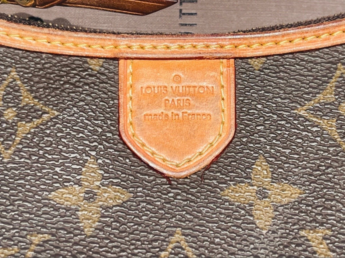 Pochette Louis Vuitton delightful