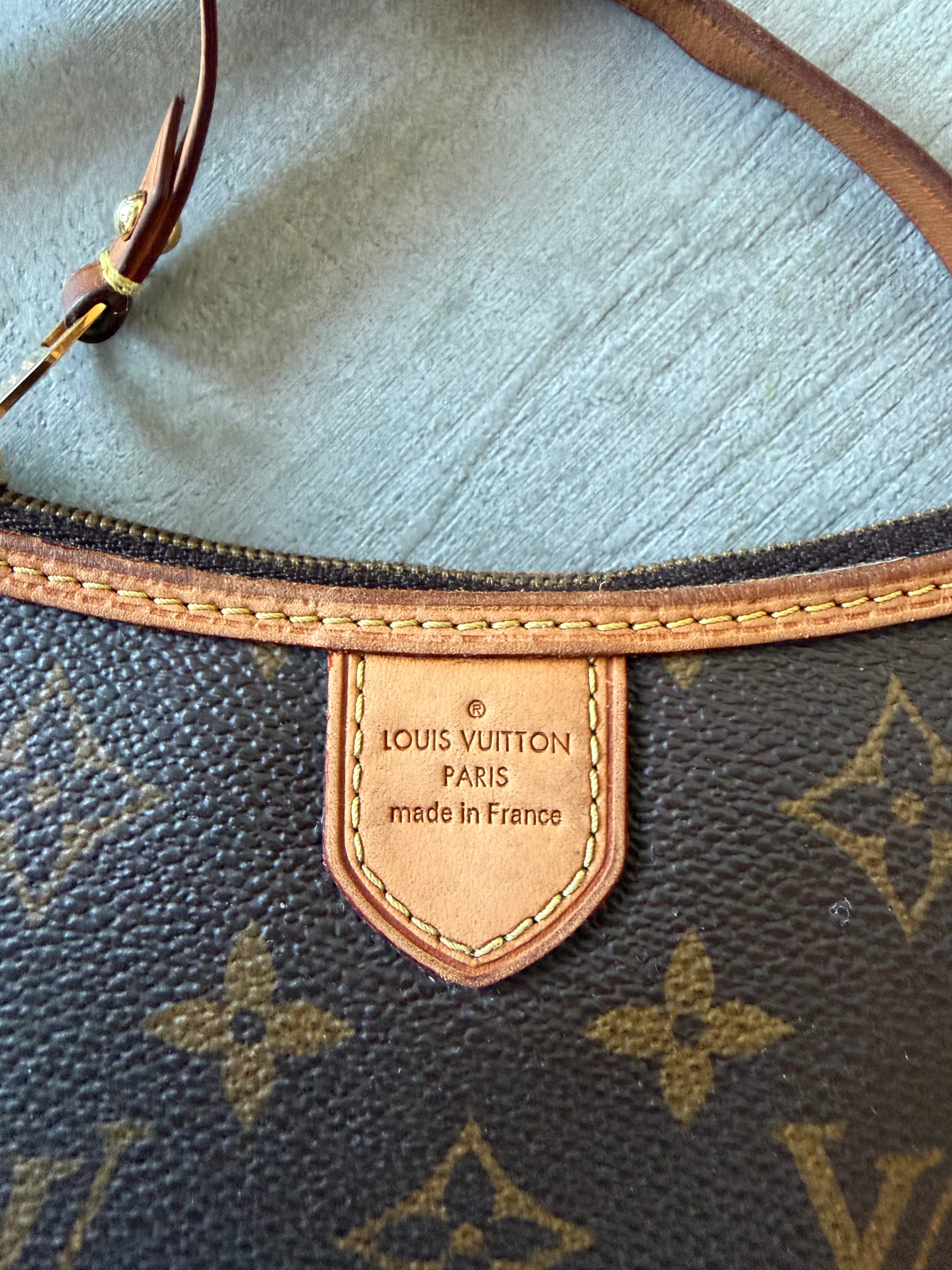 Pochette Louis Vuitton delightful