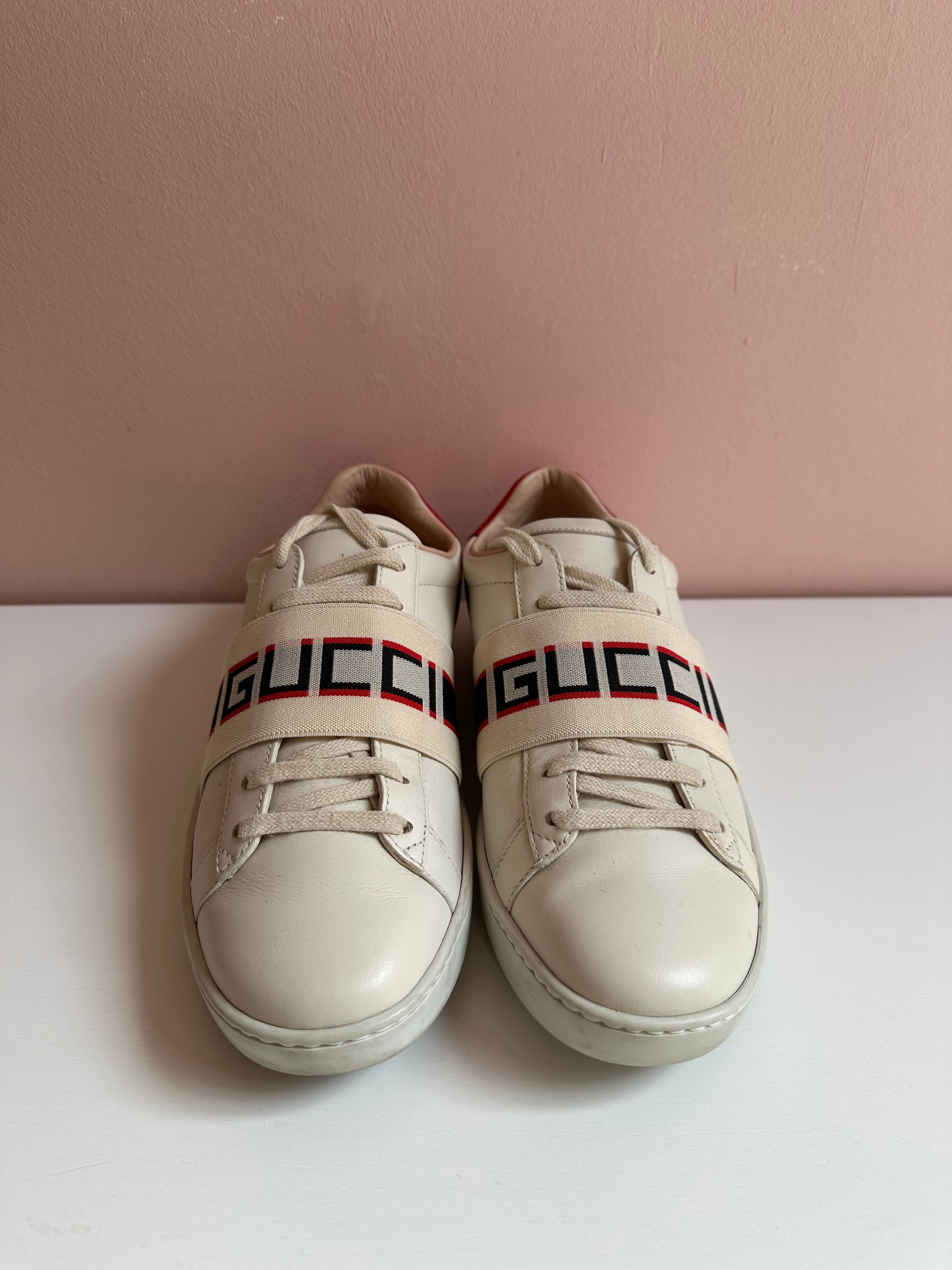 Scarpe Gucci Ace