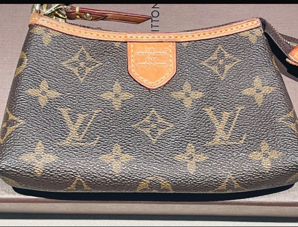 Pochette Louis Vuitton delightful