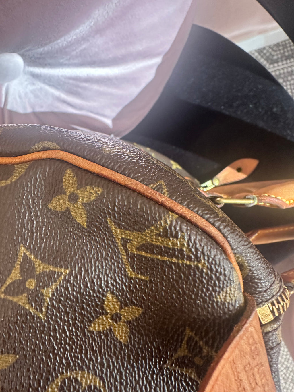 Borsa Louis Vuitton Speedy 30 monogram