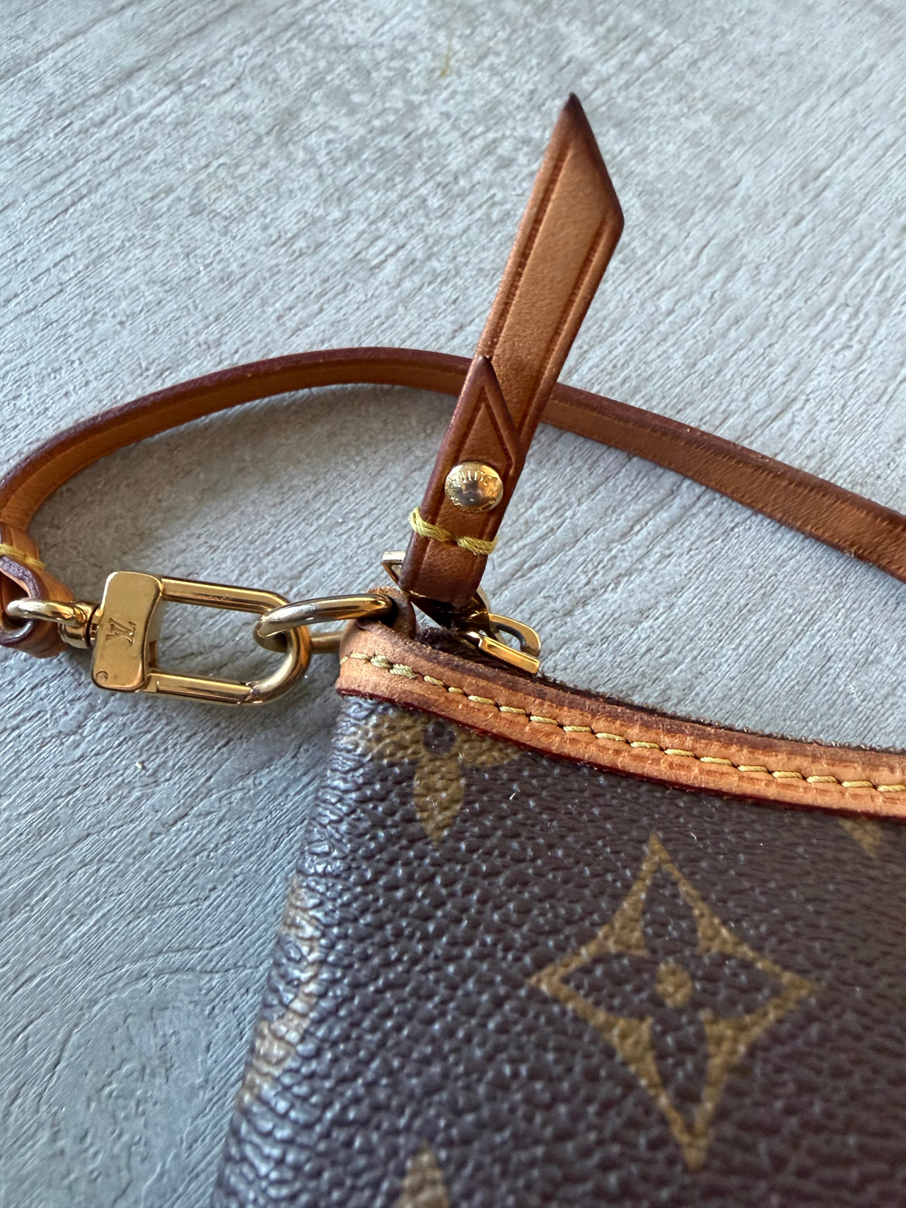 Pochette Louis Vuitton delightful