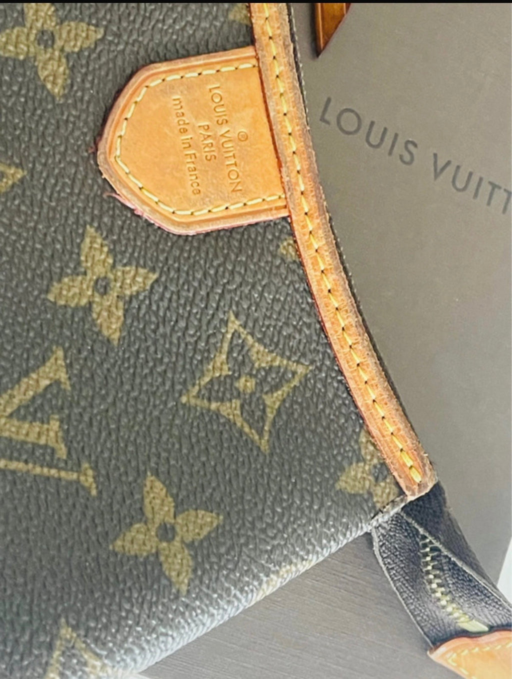 Pochette Louis Vuitton delightful