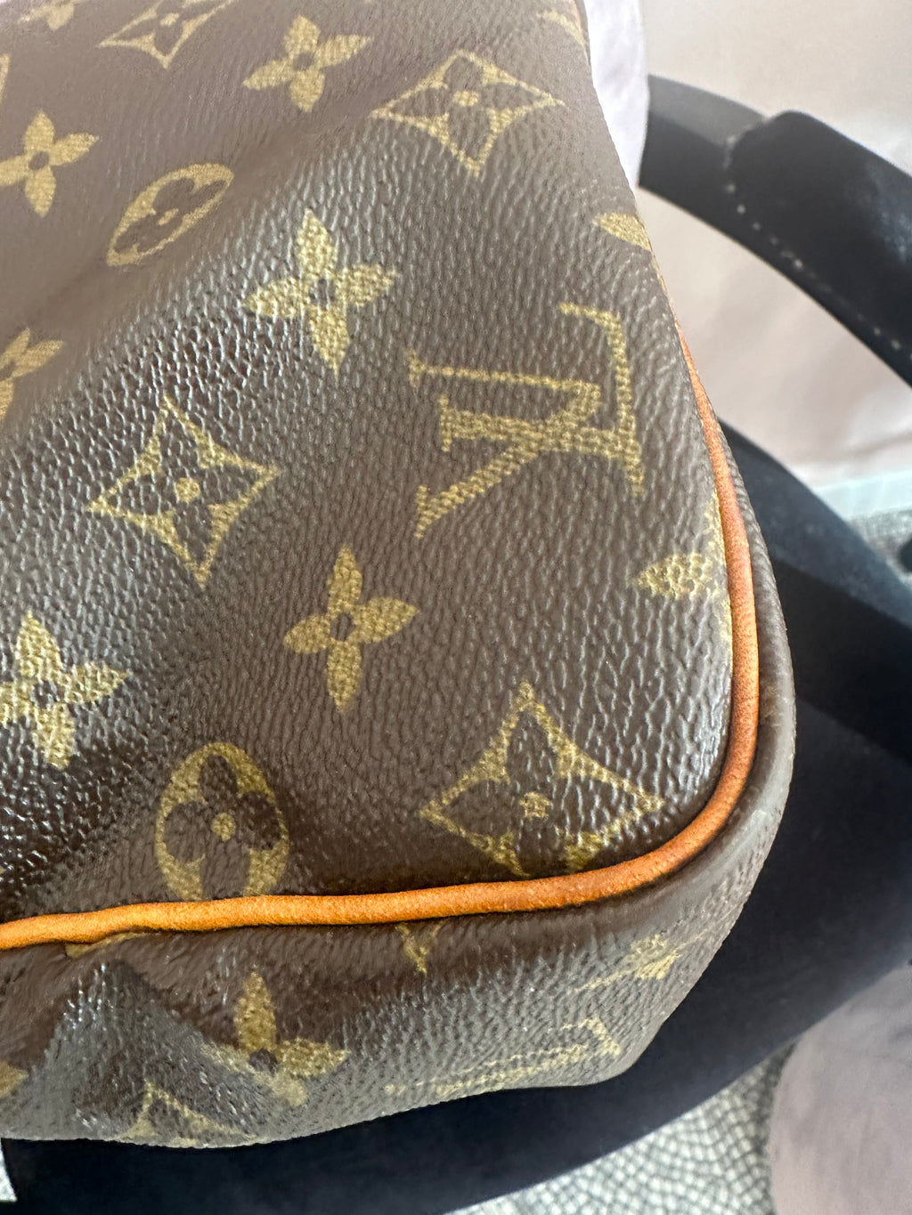 Borsa Louis Vuitton Speedy 30 monogram
