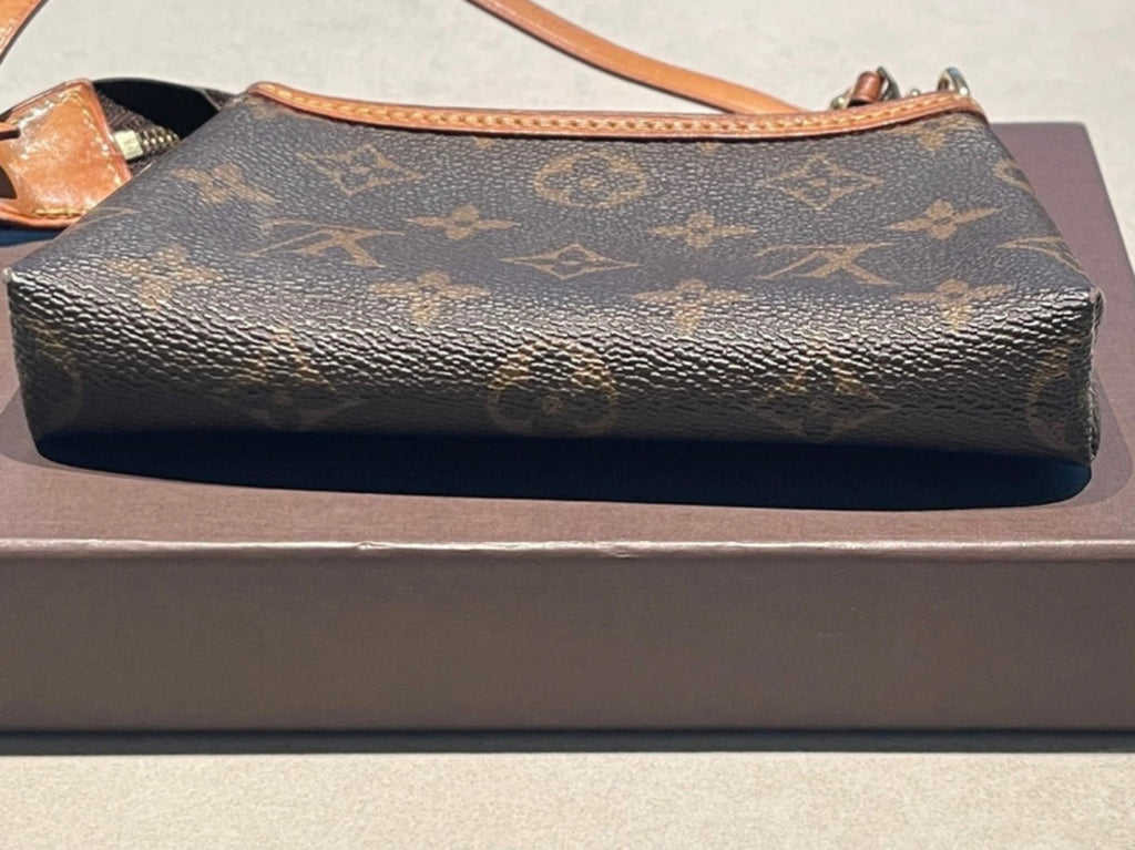Pochette Louis Vuitton delightful