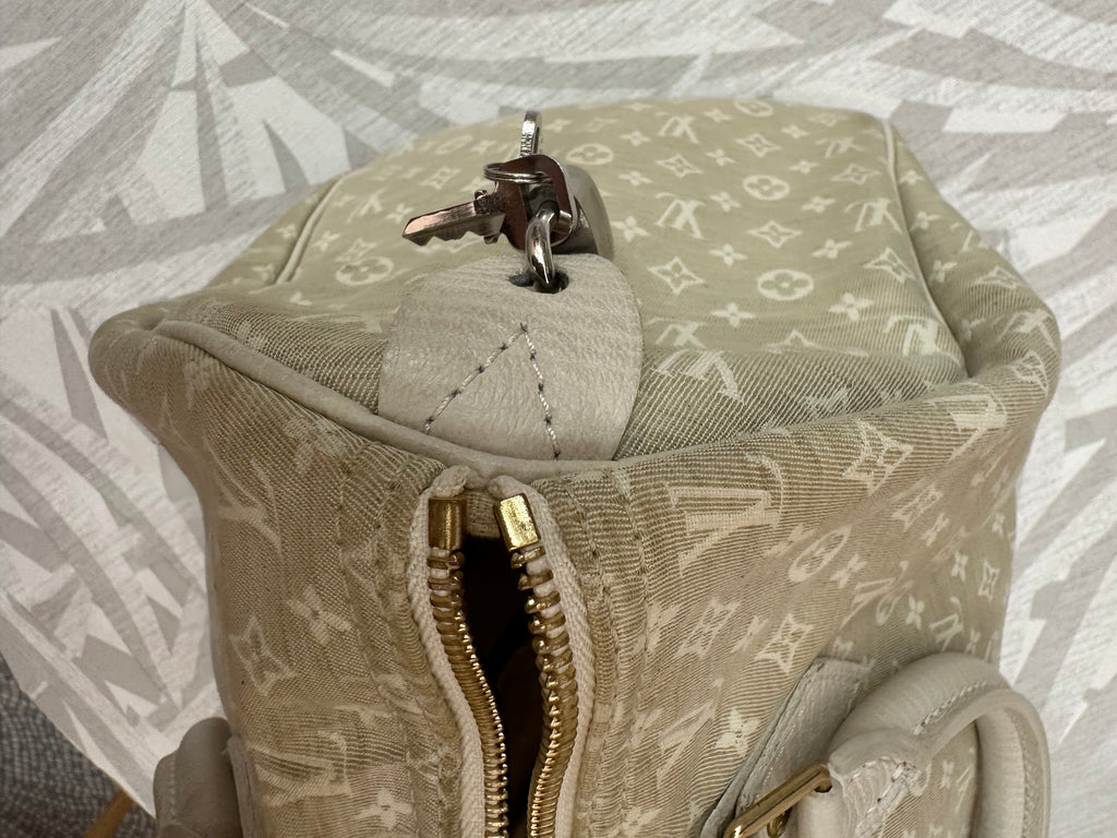 Borsa Louis Vuitton Speedy 30 mini lin