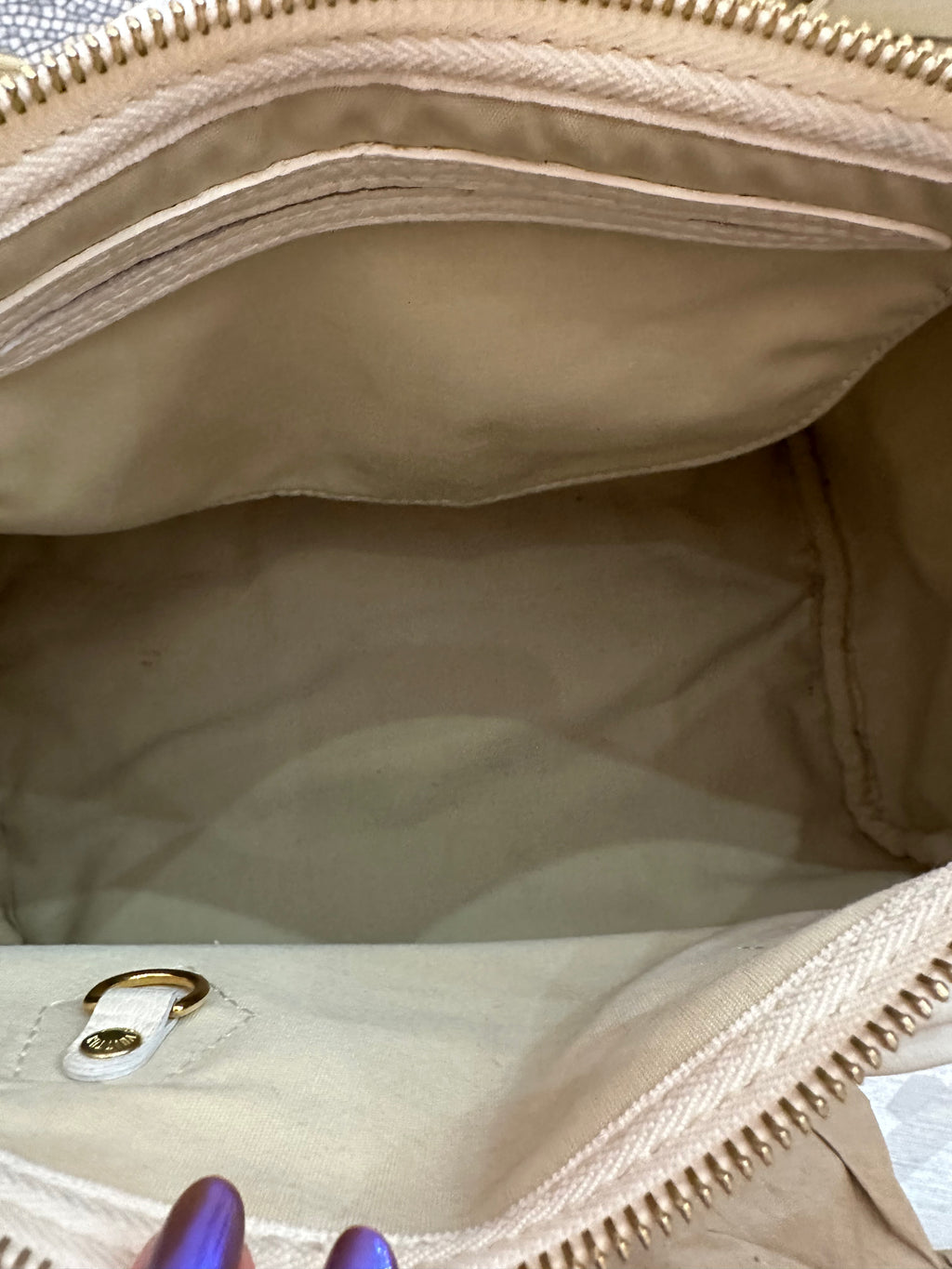 Borsa Louis Vuitton Speedy 30 mini lin