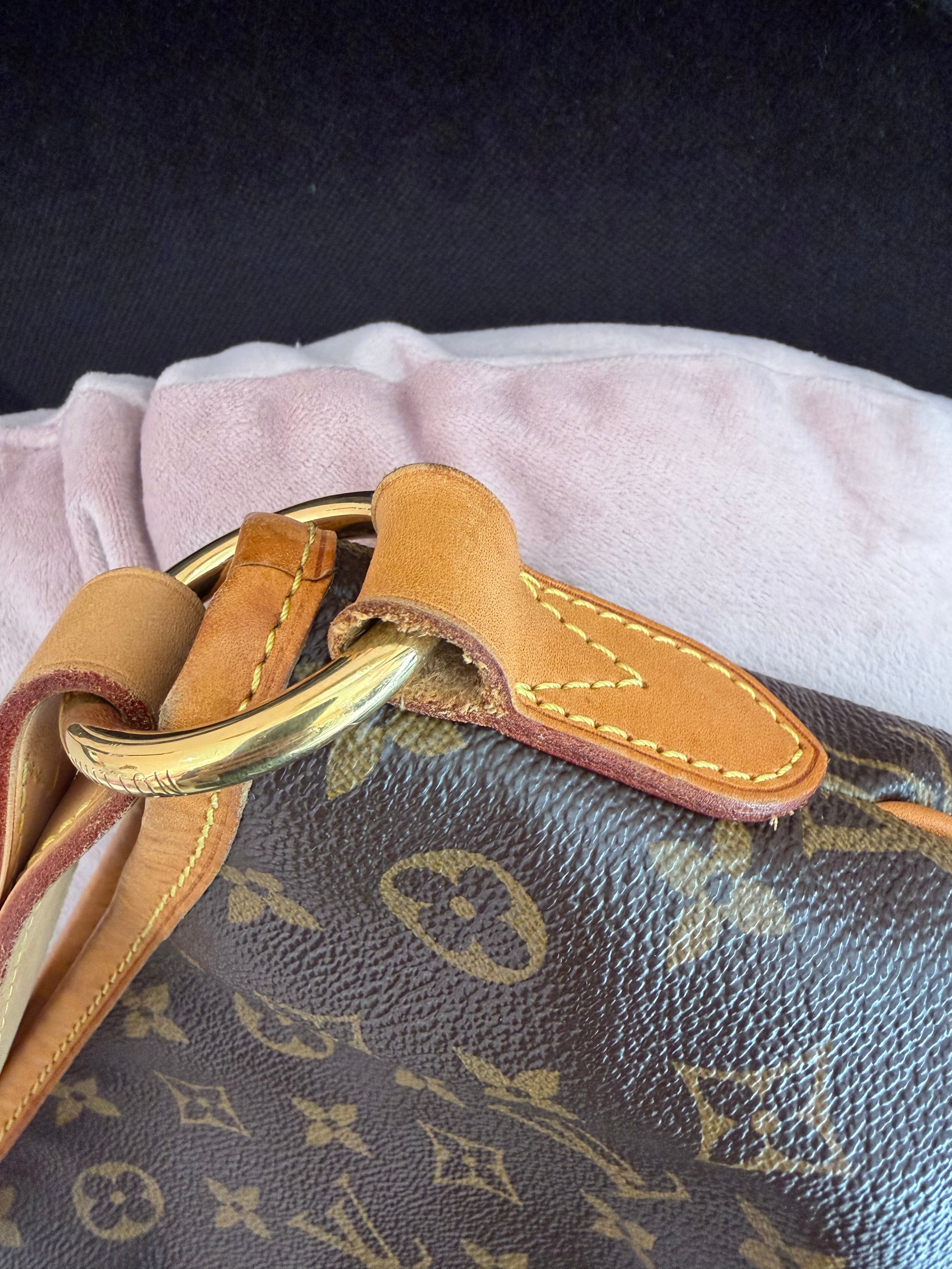 Borsa Louis Vuitton Delightfull MM monogram